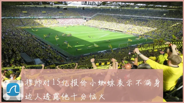 穆帅对15亿报价小蜘蛛表示不满身边人透露他十分恼火